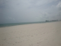 dsc02425