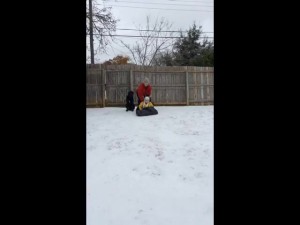 SnowSled2